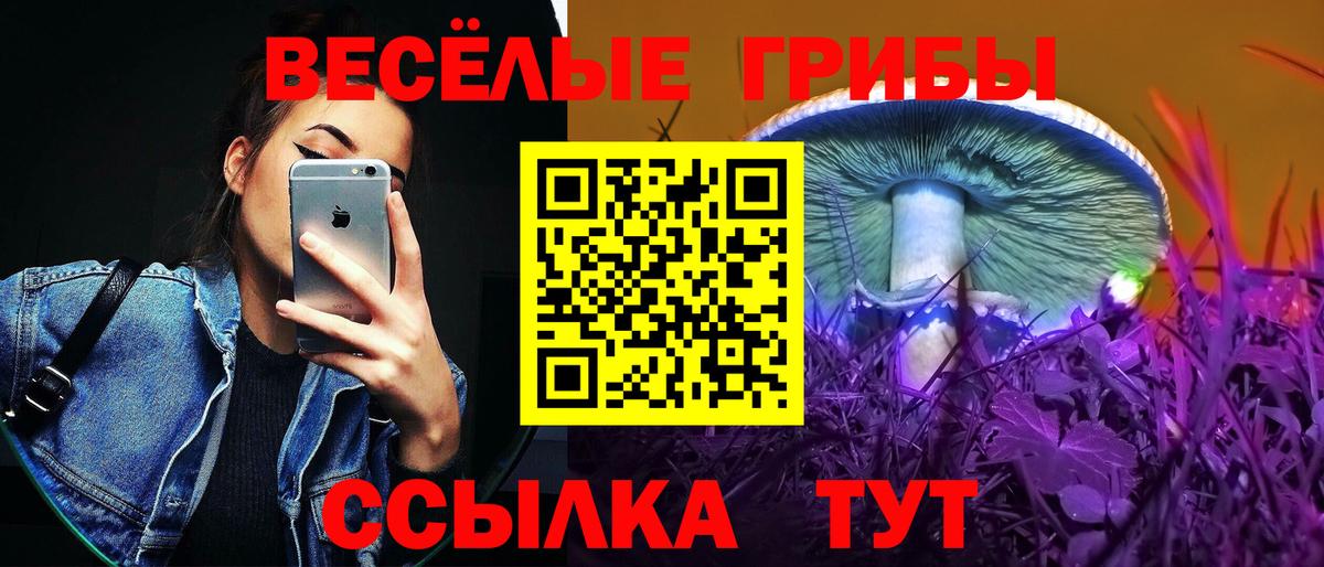Кольчугино  Псилоцибиновые грибы прущие грибы  Вход с VPN 